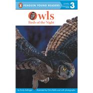 Owls Birds of the Night