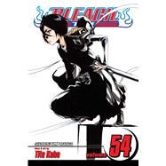 Bleach Vol 54