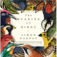 The Meaning of Birds