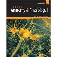 Human Anatomy & Physiology I
