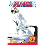 Bleach Vol 22