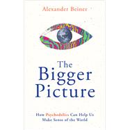 The Bigger Picture How Psychedelics Can Help Us Make Sense of the World