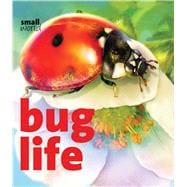 Bug Life