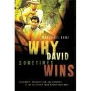 Why David Sometimes Wins : Leadership, Organization, and Strategy in the California Farm Worker Move