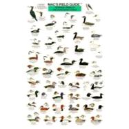 Mac's Field Guide To Water Birds Of The Northeast Coast
