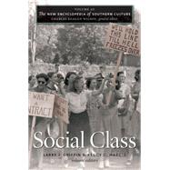 The New Encyclopedia of Southern Culture