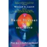 A Brief History of the Mind From Apes to Intellect and Beyond