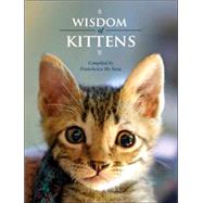 Wisdom of Kittens