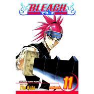 Bleach Vol 11