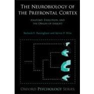 The Neurobiology of the Prefrontal Cortex Anatomy, Evolution, and the Origin of Insight