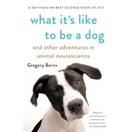 What It's Like to Be a Dog And Other Adventures in Animal Neuroscience