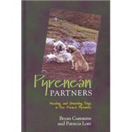 Pyrenean Partners