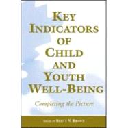 Key Indicators of Child and Youth Well-Being : Completing the Picture