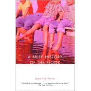 A Brief History of the Flood