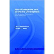 Small Enterprises and Economic Development: The Dynamics of Micro and Small Enterprises