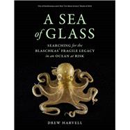 A Sea of Glass