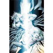Batman  Robin Dark Knight Vs White Knight