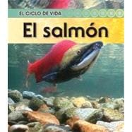 El salmon / Salmon