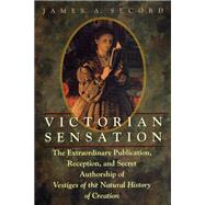 Victorian Sensation