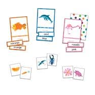 World of Eric Carle Colors Learning Cards
