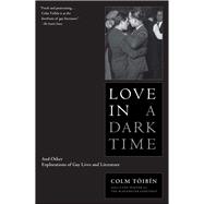 Love in a Dark Time And Other Explorations of Gay Lives and Literature