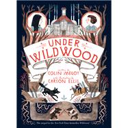 Under Wildwood (Wildwood Chronicles, Bk. 2)