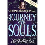 Journey of Souls