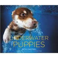 Underwater Puppies