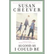 As Good as I Could Be A Memoir of Raising Wonderful Children in Difficult Times