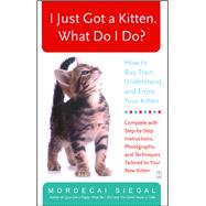 I Just Got a Kitten. What Do I Do? How to Buy, Train, Understand, and Enjoy Your Kitten