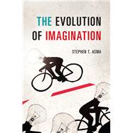 The Evolution of Imagination