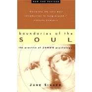 Boundaries of the Soul The Practice of Jung's Psychology
