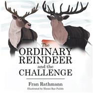 The Ordinary Reindeer and the Challenge