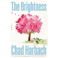 The Brightness A Novel