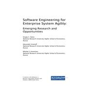 Software Engineering for Enterprise System Agility