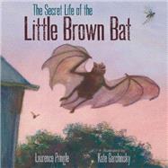 The Secret Life of the Little Brown Bat