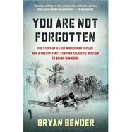 You Are Not Forgotten The Story of a Lost World War II Pilot and a Twenty-First-Century Soldier's Mi