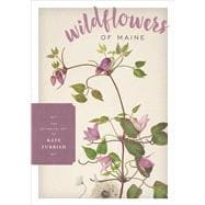 Wildflowers of Maine