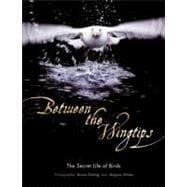 Between the Wingtips: The Secret Life of Birds