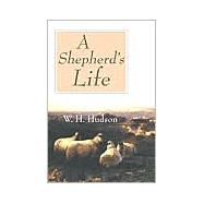 Shepherd's Life : Impressions of the South Wiltshire Downs
