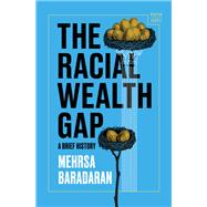 The Racial Wealth Gap A Brief History