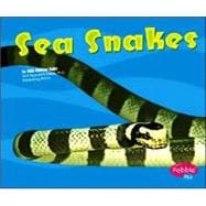 Sea Snakes