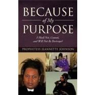 Because of My Purpose: I Shall Not, Cannot, and Will Not Be Destroyed