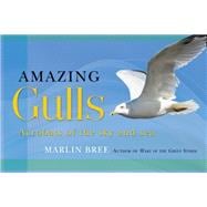 Amazing Gulls; Acrobats of the Sky and Sea