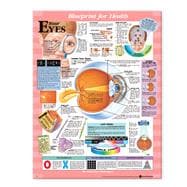 Blueprint For Health Your Eyes Chart