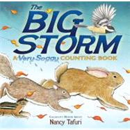 The Big Storm: A Very Soggy Counting Book