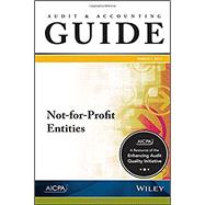 Auditing and Accounting Guide