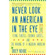 Never Look an American in the Eye A Memoir of Flying Turtles, Colonial Ghosts, and the Making of a N