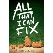 All That I Can Fix