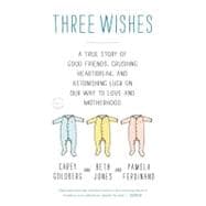 Three Wishes A True Story of Good Friends, Crushing Heartbreak, and Astonishing Luck on Our Way to L